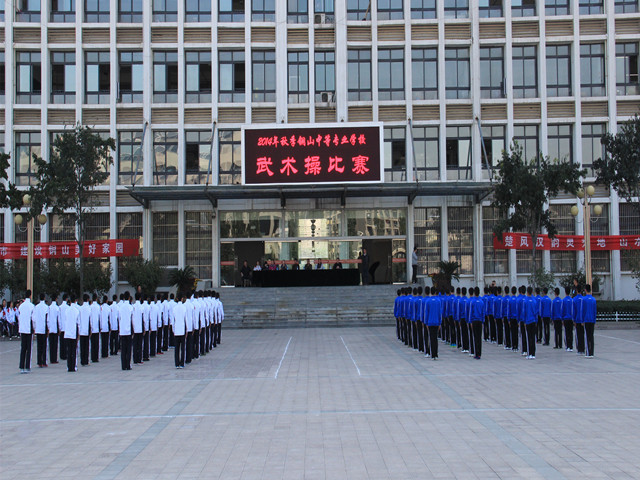 11.jpg