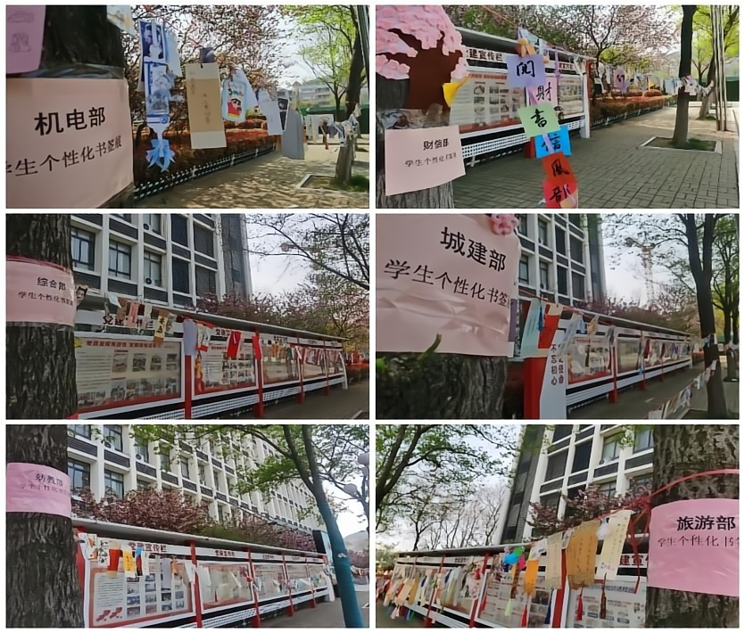图片 10