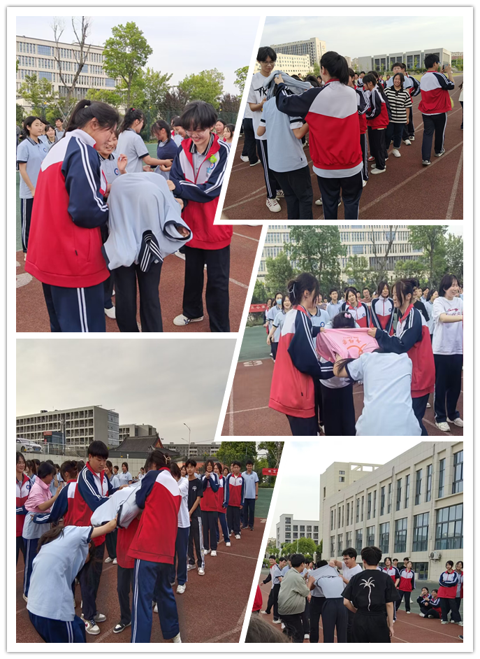 依依不舍合